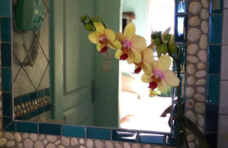 Frühstückspension B&B Val D'azur Carqueiranne