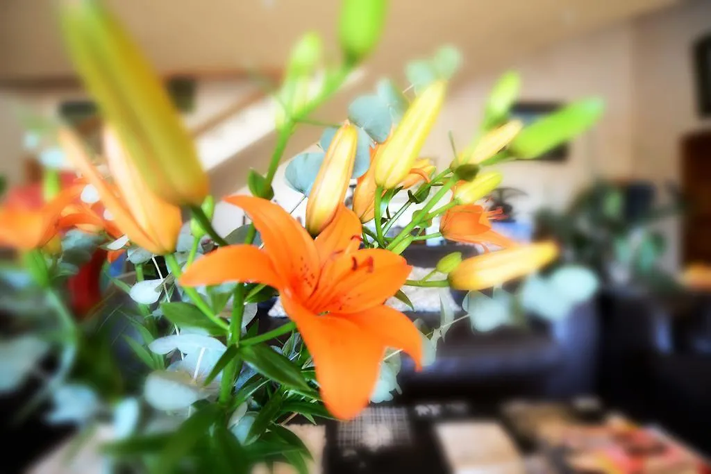 Bed & Breakfast B&B Val D'Azur Carqueiranne